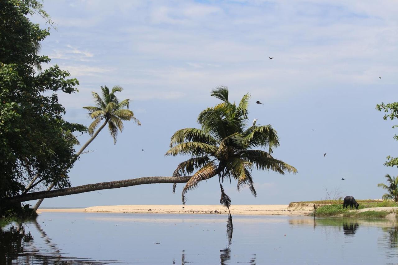 Telma Beach Homestay Mararikulam Eksteriør bilde